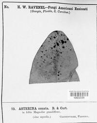 Image Associated With the Occurence